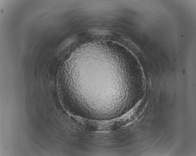 X0000070850821200606231036