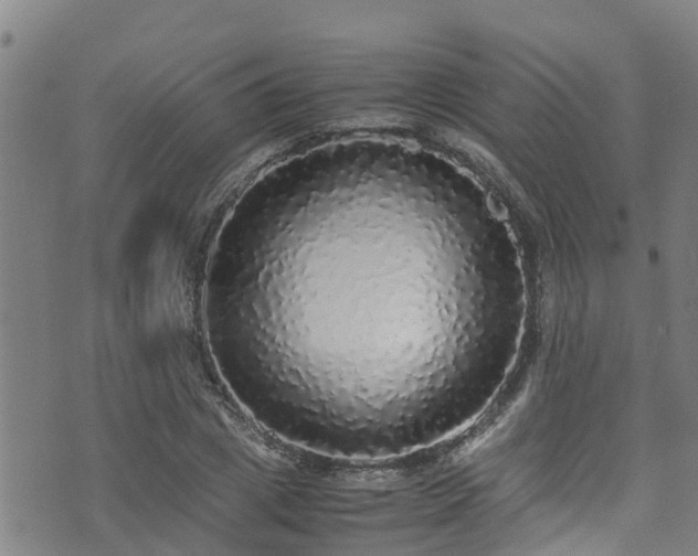 X0000070850833200606231036