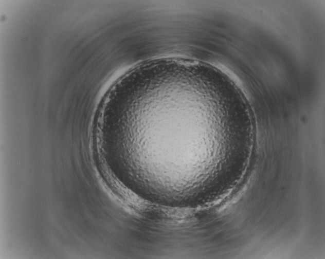 X0000070850949200606231035