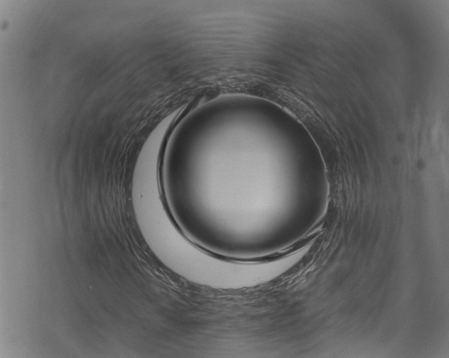 X0000070851010200606231033