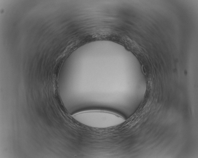 X0000070851012200606231033