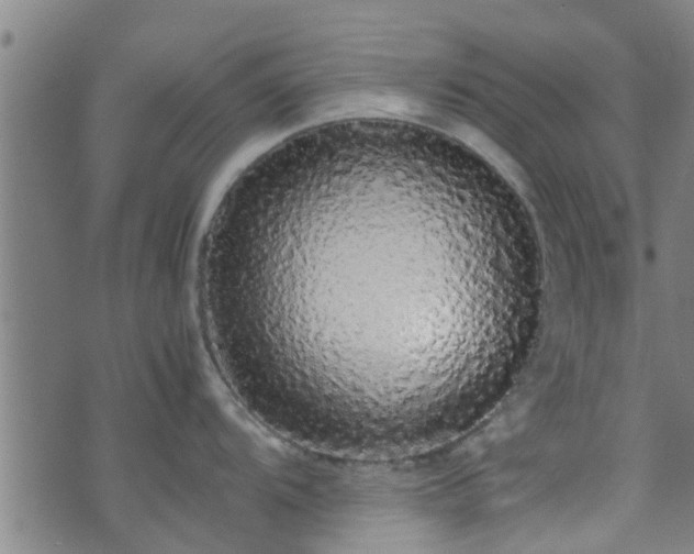X0000070851104200606231032