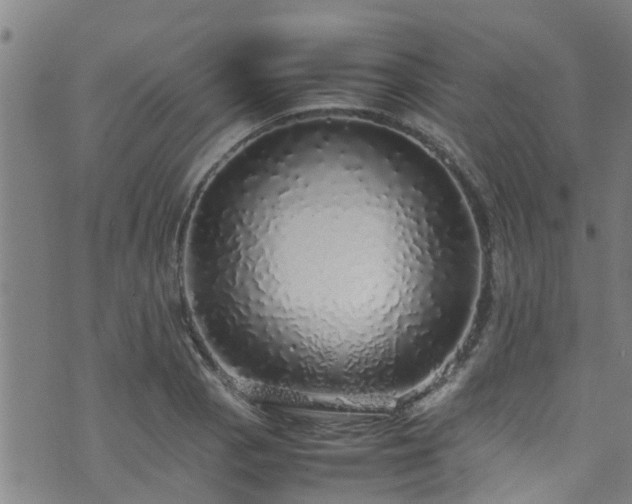 X0000070851129200606231032