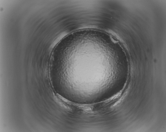 X0000070851137200606231032