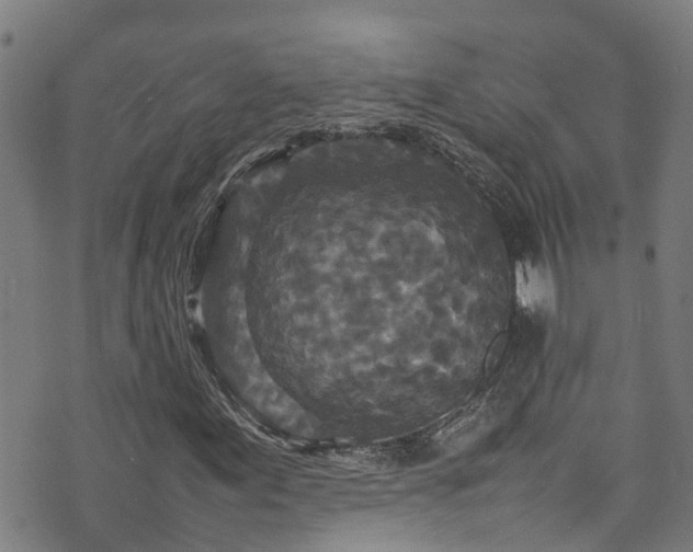 X0000070851155200606231031