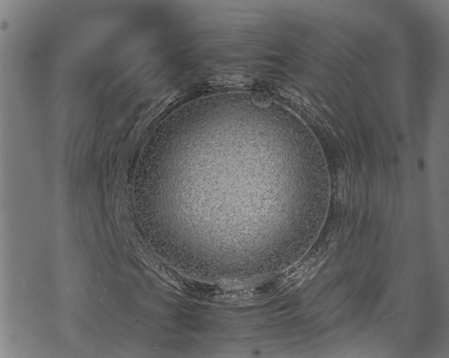 X0000070851201200606231030