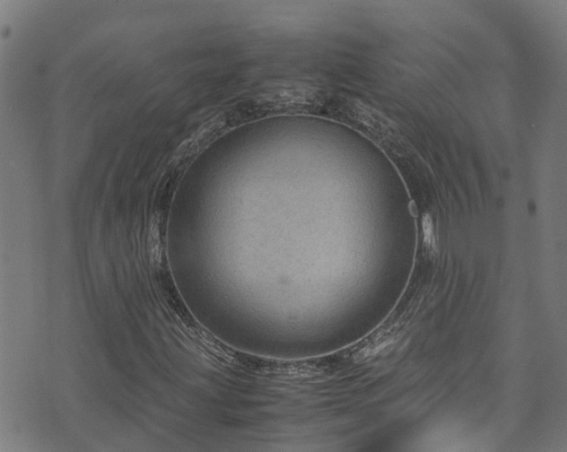 X0000070851203200606231030