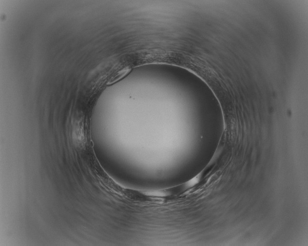 X0000070851250200606231030