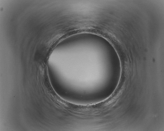 X0000070851257200606231029