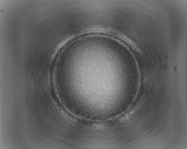 X0000070851264200606231029