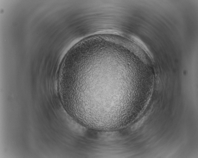 X0000070851284200606231029