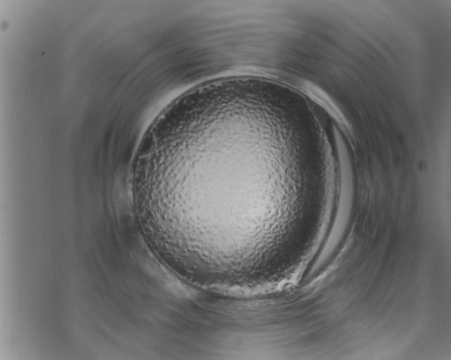 X0000070851292200606231029