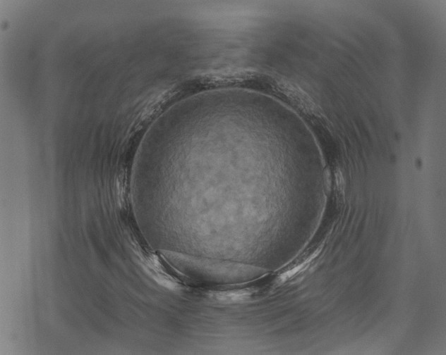 X0000070851300200606231028