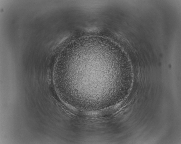 X0000070851301200606231028