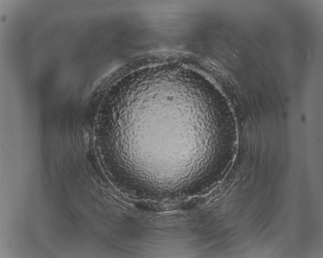 X0000070851302200606231028