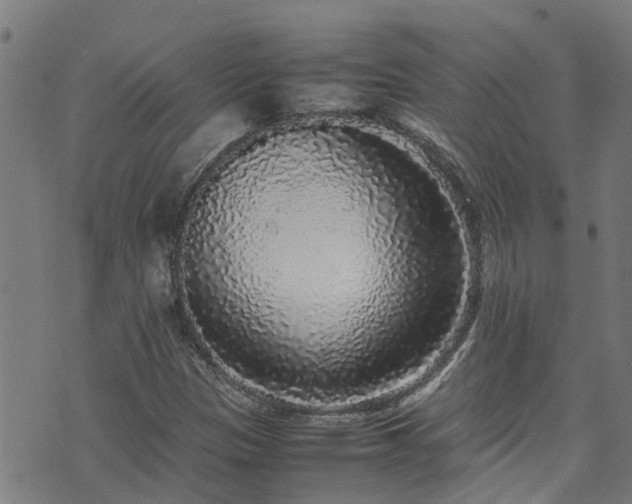 X0000070851305200606231028