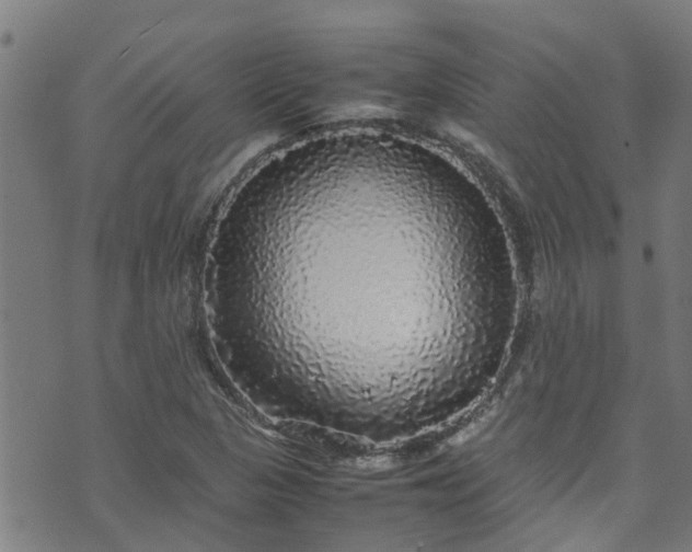 X0000070851313200606231028