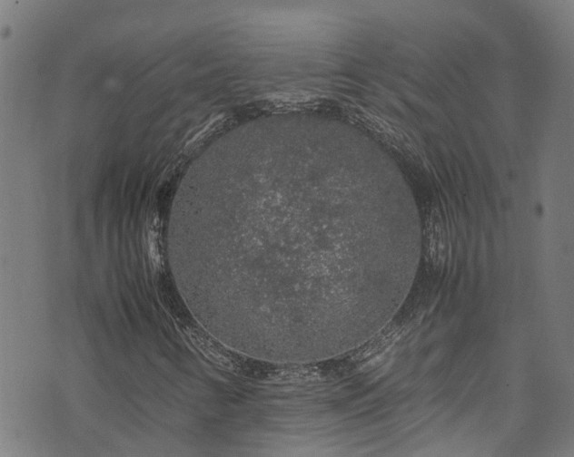 X0000070851346200606231028