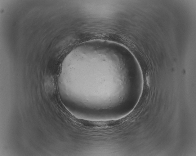 X0000070851347200606231028