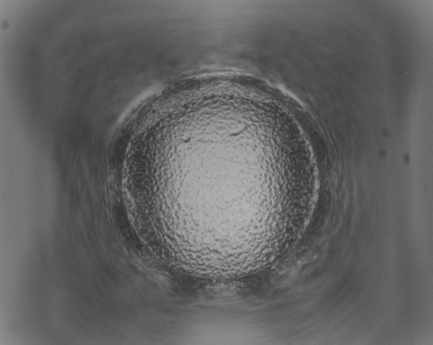 X0000070851351200606231028