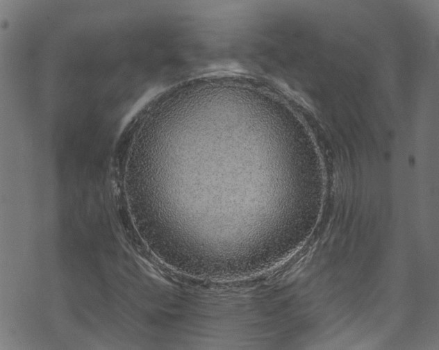 X0000070851400200606231027