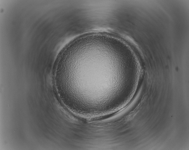 X0000070851412200606231027