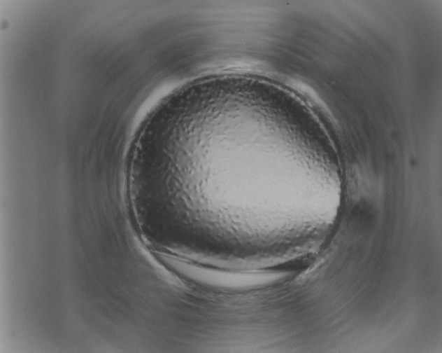 X0000070851424200606231027