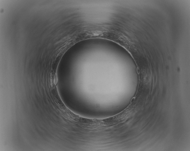X0000070851442200606231026
