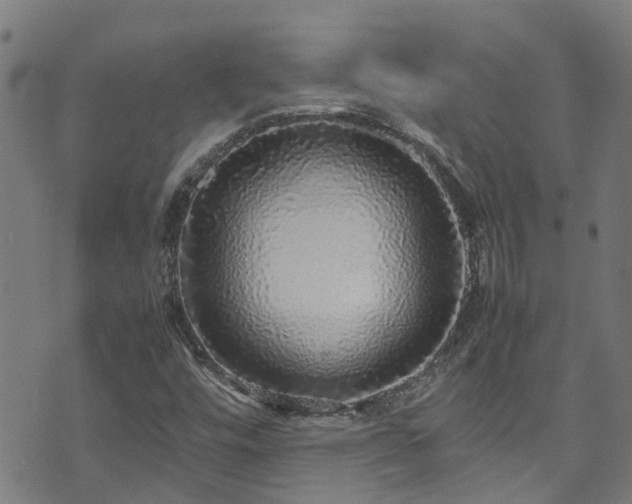 X0000070851448200606231026