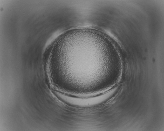 X0000070851456200606231026