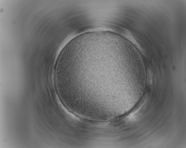 X0000070851484200606231026