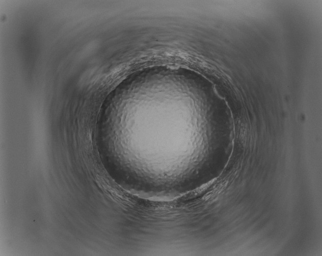 X0000070851489200606231025