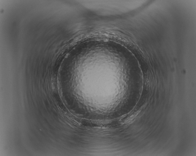 X0000070851490200606231025