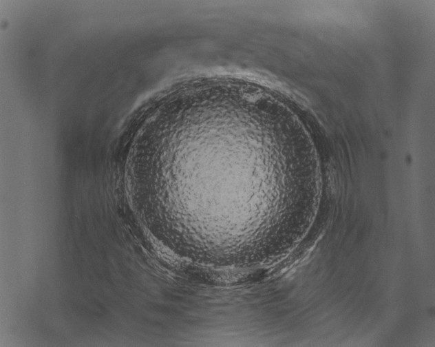 X0000070851494200606231025