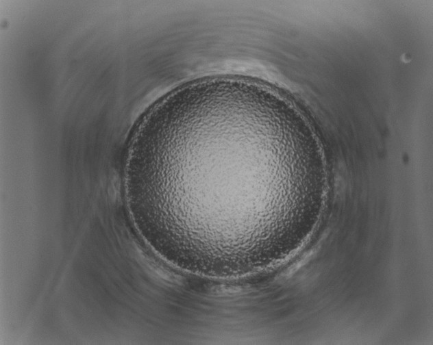 X0000070851505200606231025