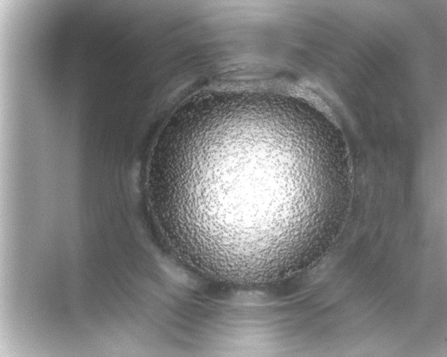X0000070850066200606302031