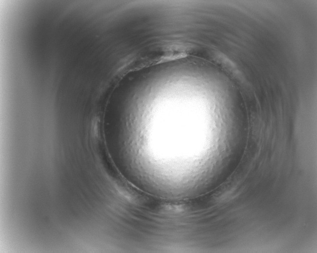 X0000070850071200606302031
