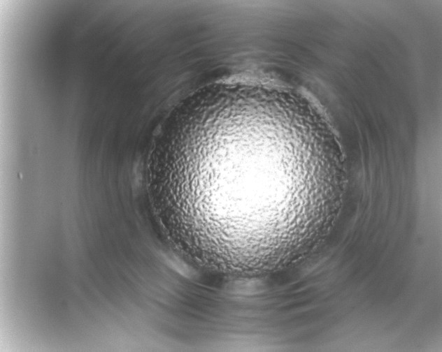 X0000070850081200606302031