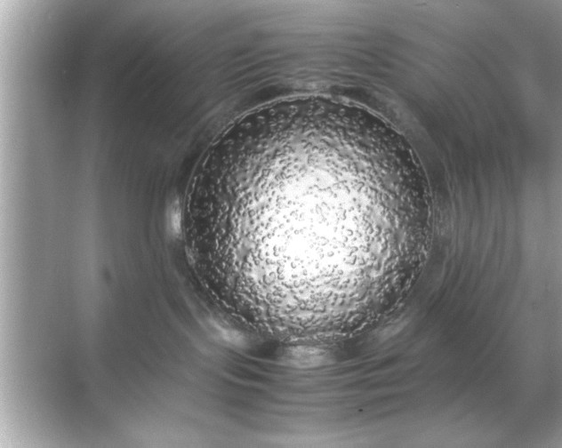 X0000070850095200606302031