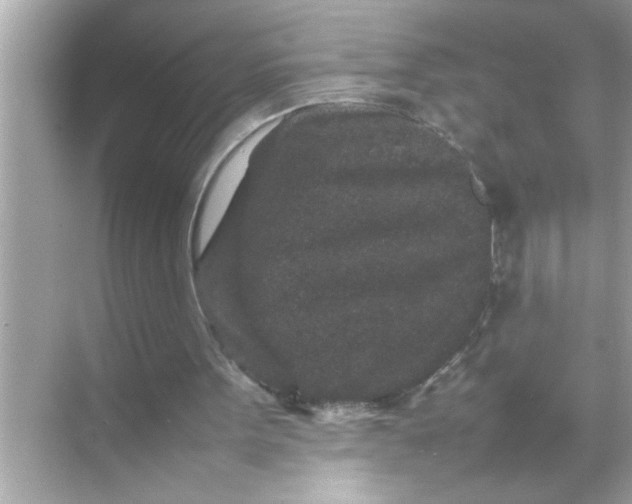 X0000070850099200606302030