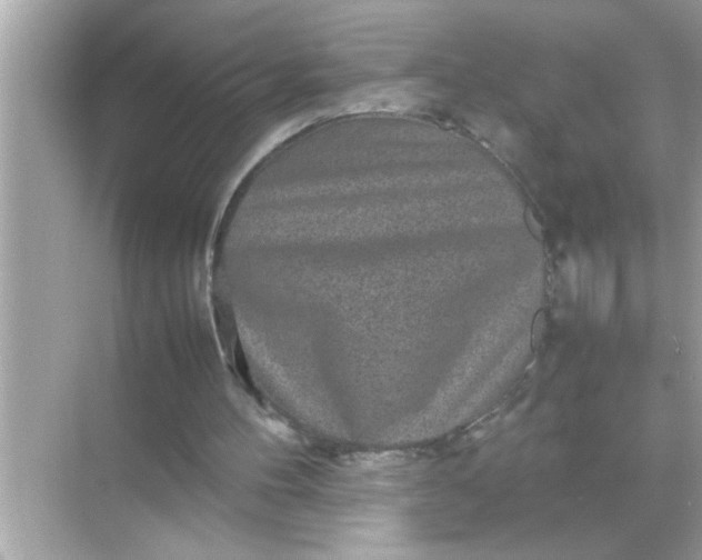 X0000070850100200606302030