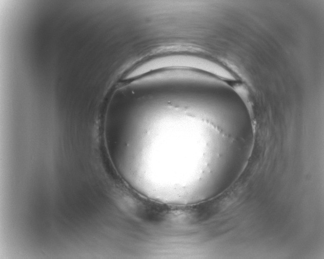 X0000070850111200606302030