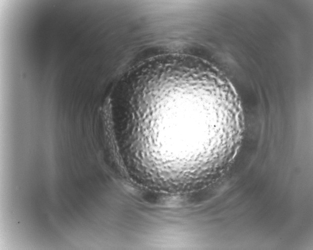 X0000070850131200606302030