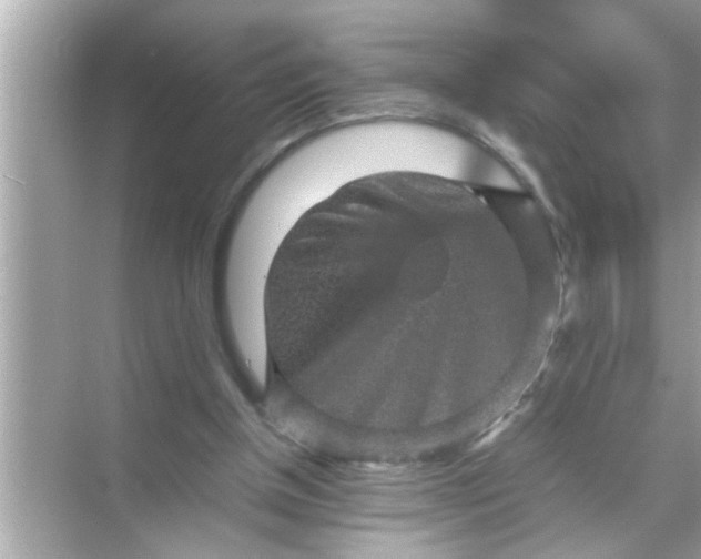 X0000070850154200606302029