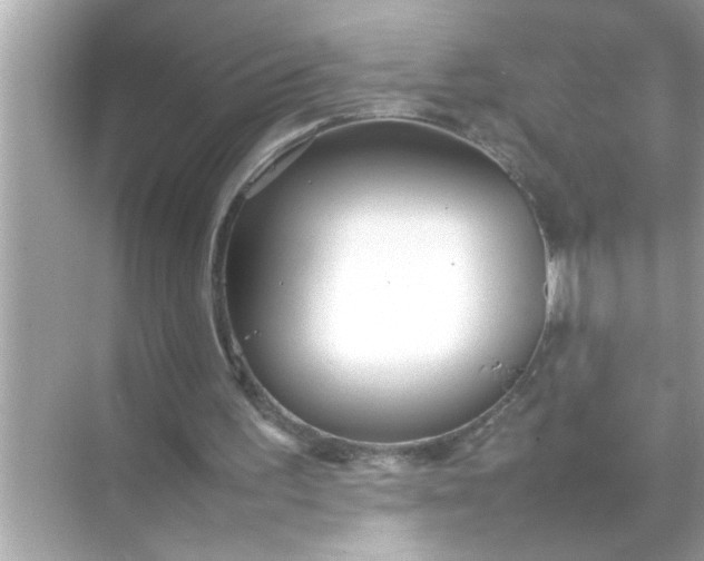 X0000070850195200606302029