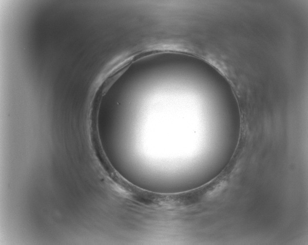 X0000070850199200606302029
