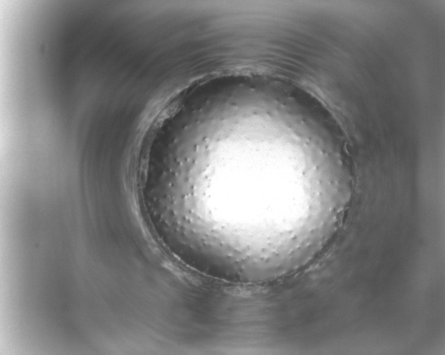 X0000070850241200606302027