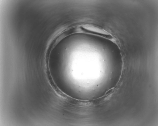X0000070850245200606302027