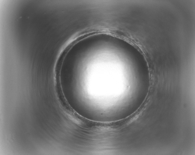 X0000070850246200606302027