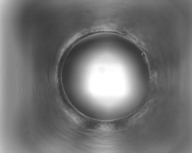 X0000070850248200606302027